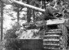 САУ «Фердинанд». Лето 1943 г.