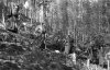 Переноска 82-мм миномета обр. 1937 г. 26-я армия, Карельский фронт. 1942 г.
